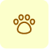 Pets